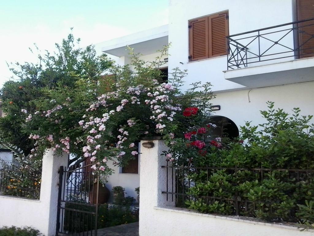 Karagiozos Studios & Apartments Skopelos Town Exterior photo