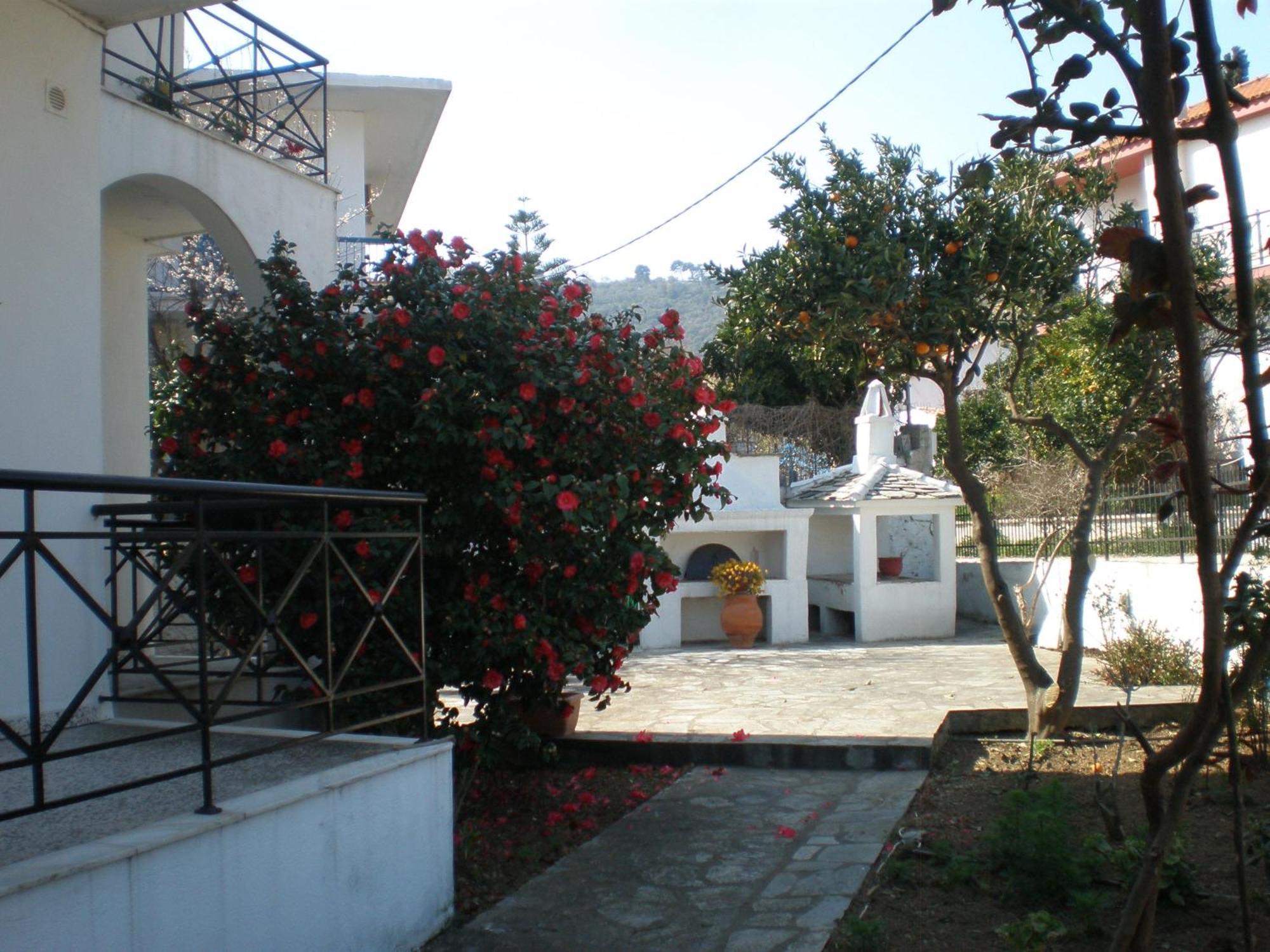 Karagiozos Studios & Apartments Skopelos Town Exterior photo