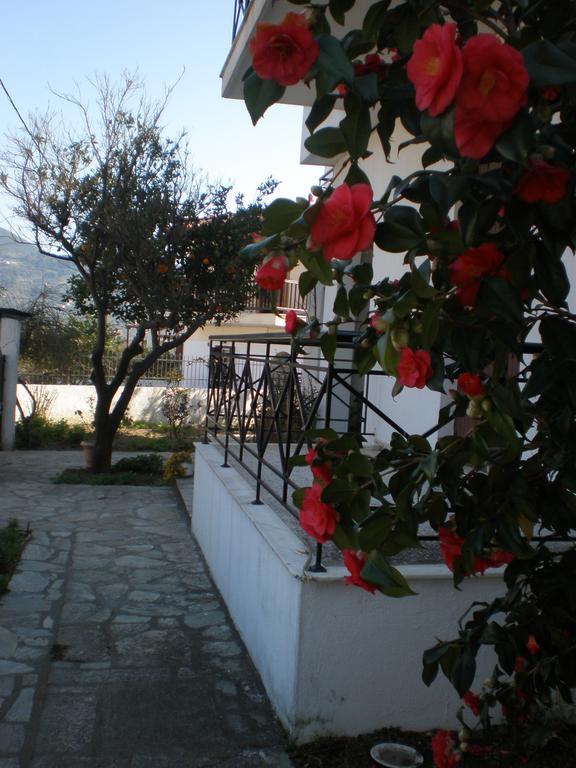 Karagiozos Studios & Apartments Skopelos Town Room photo